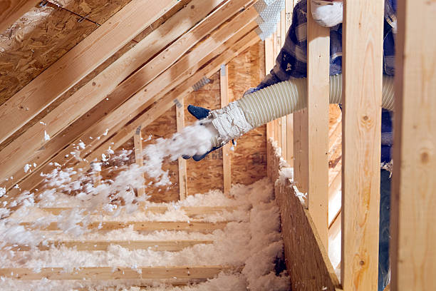 Best Insulation Air Sealing  in Woodlawn, VA